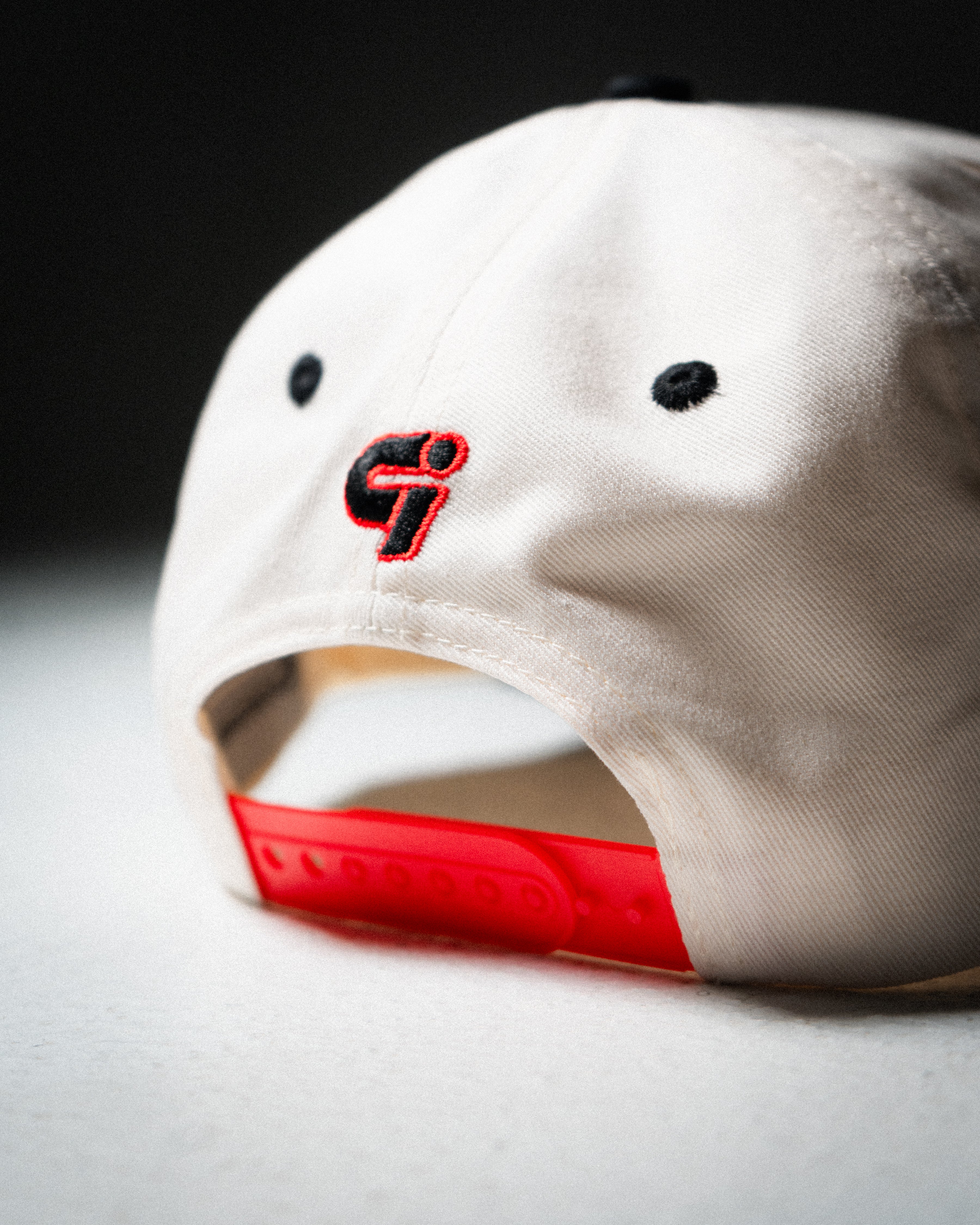 Windy City Trucker Hat